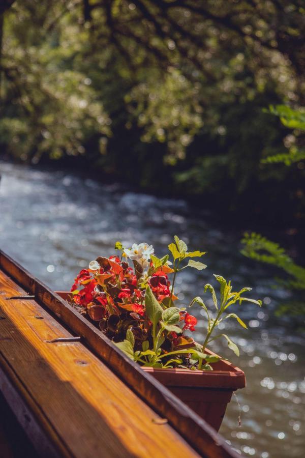 福查 Rafting Kamp Dvije Vrbe酒店 外观 照片
